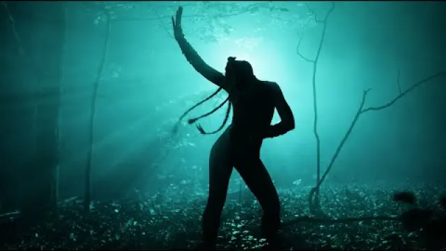 Echoes of the Universe