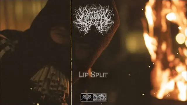 Lip Split