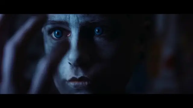 A Beautiful Nightmare