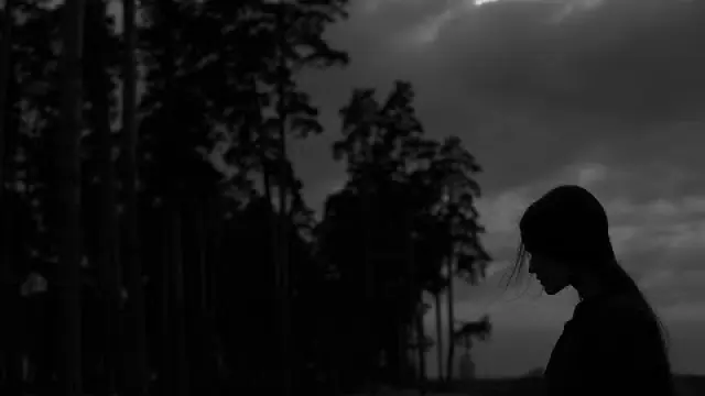 The Pale Light Of Fireflies (Feat. Juan Escobar & Carline Van Roos