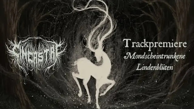 Mondscheintrunkene Lindenblüten