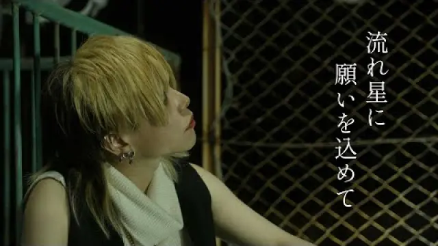 流れ星に願いを込めて