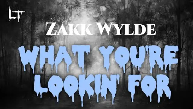 What You're Lookin' For