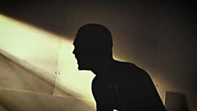 Veins of the Phoenix