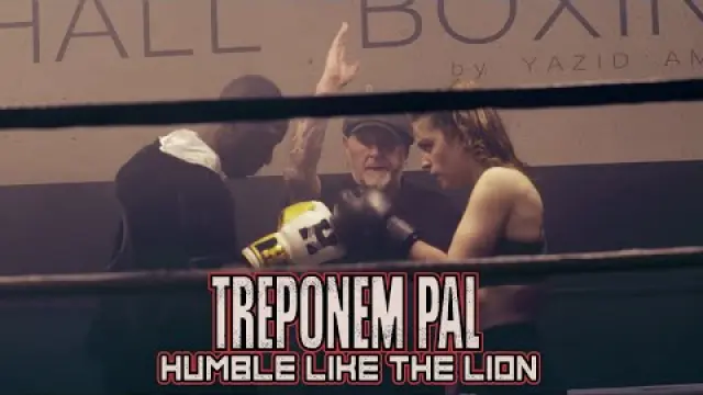 Humble Like The Lion