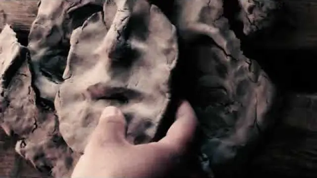 Blossom in Full Force