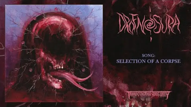 Selection of a Corpse