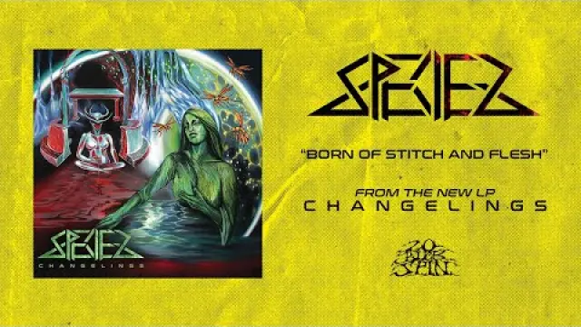 Born of Stitch and Flesh