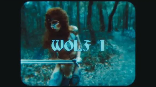 WOLF I
