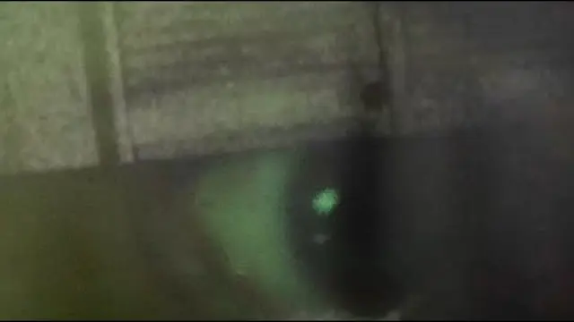 Ash Speck in a Green Eye